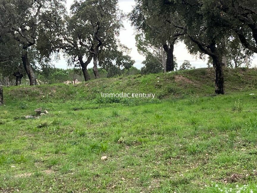 Building land for sale in Capmany
